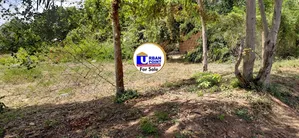 1acre Plot in Watamu Gede Touching Tarmac Road