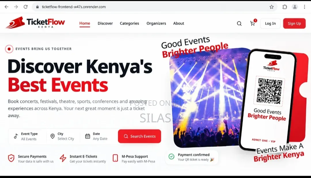 Professional Website Designer | E-Commerce, M-Pesa Booking Systems