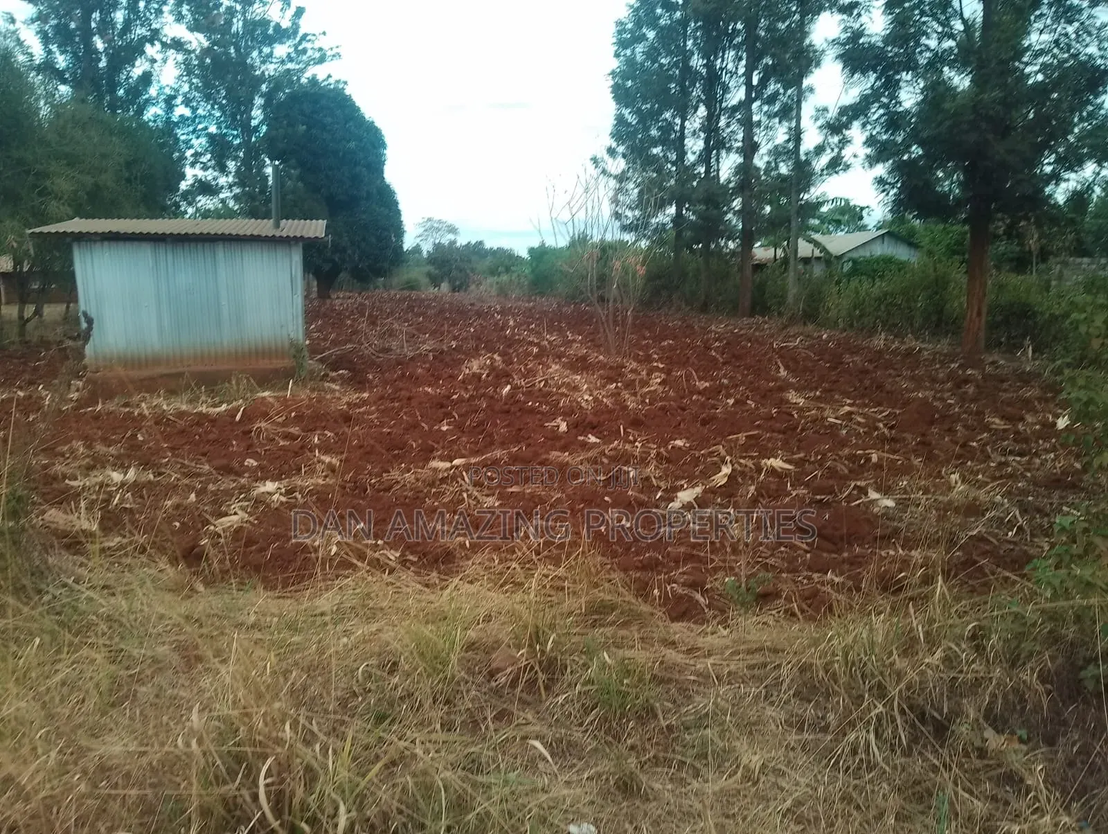 0.26 Hactares for Sale in Makutano Rukanga 500mts From the Main Tarmac