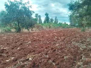0.26 Hactares for Sale in Makutano Rukanga 500mts From the Main Tarmac