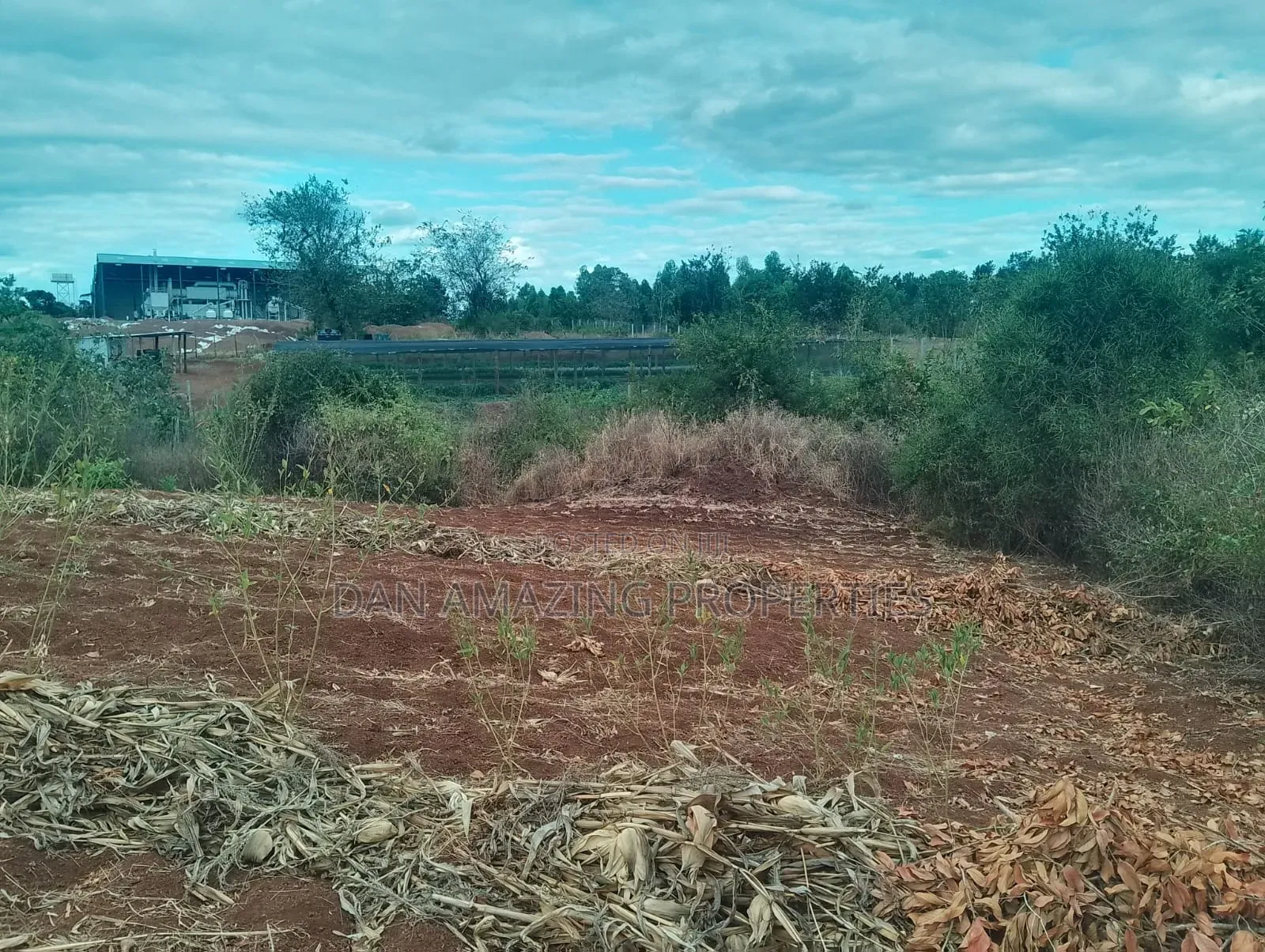 0.26 Hactares for Sale in Makutano Rukanga 500mts From the Main Tarmac