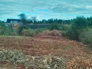 0.26 Hactares for Sale in Makutano Rukanga 500mts From the Main Tarmac
