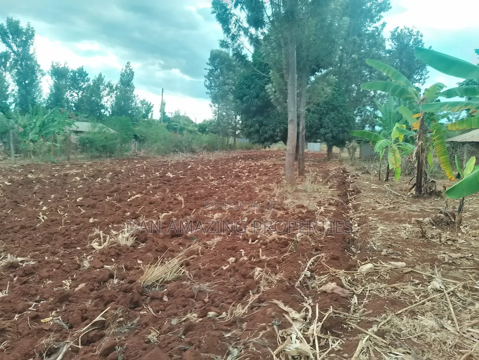 0.26 Hactares for Sale in Makutano Rukanga 500mts From the Main Tarmac