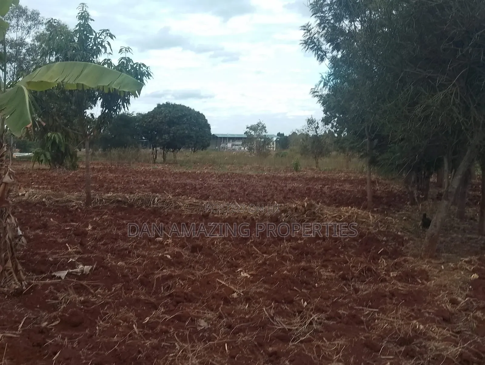 0.26 Hactares for Sale in Makutano Rukanga 500mts From the Main Tarmac