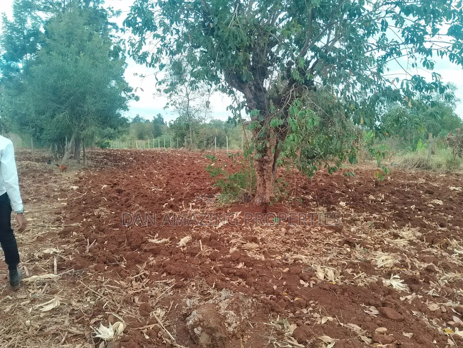 0.26 Hactares for Sale in Makutano Rukanga 500mts From the Main Tarmac
