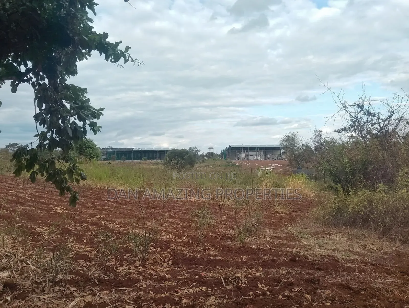 0.26 Hactares for Sale in Makutano Rukanga 500mts From the Main Tarmac