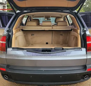 BMW X5 2007 Gray