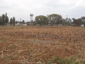 50*100 Plots Near Simba Cement Nakuru on Your Way Salga