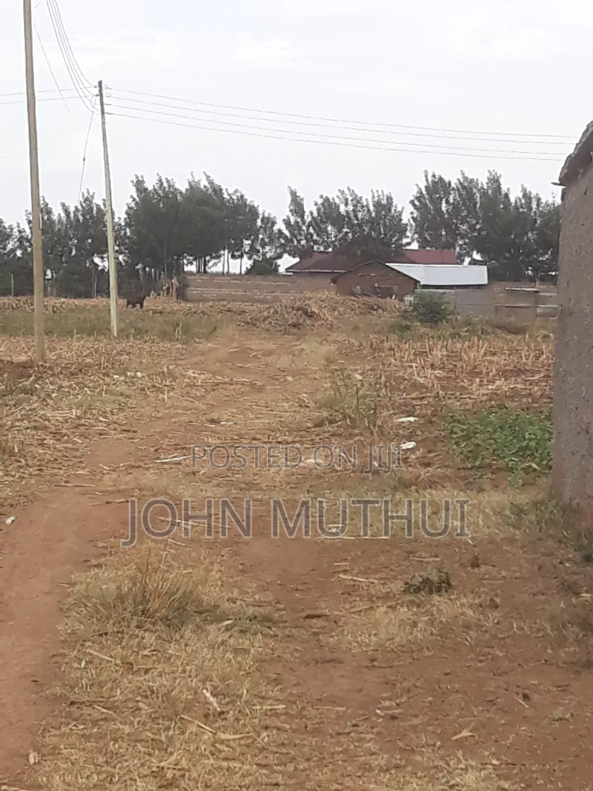 50*100 Plots Near Simba Cement Nakuru on Your Way Salga