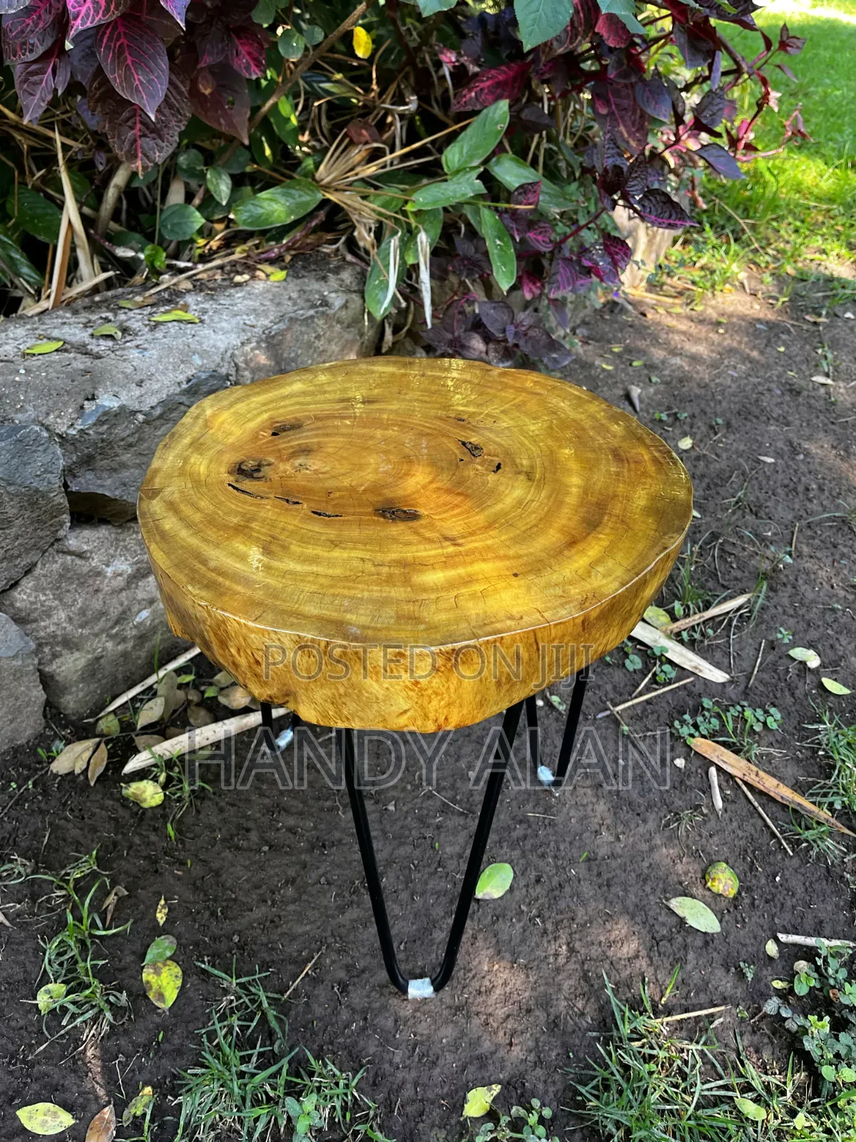 Live Edge Side Table.