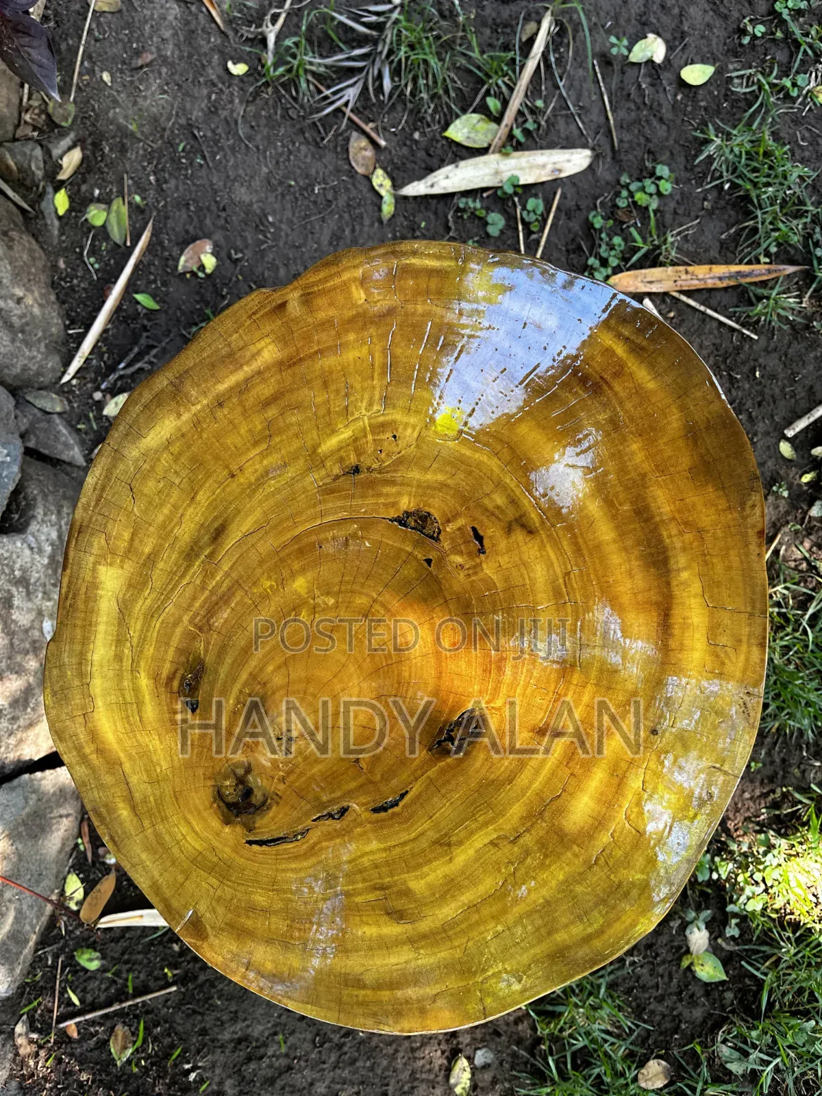 Live Edge Side Table.