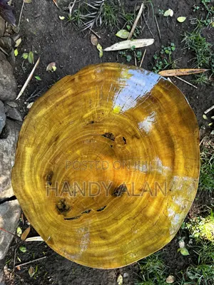 Live Edge Side Table.