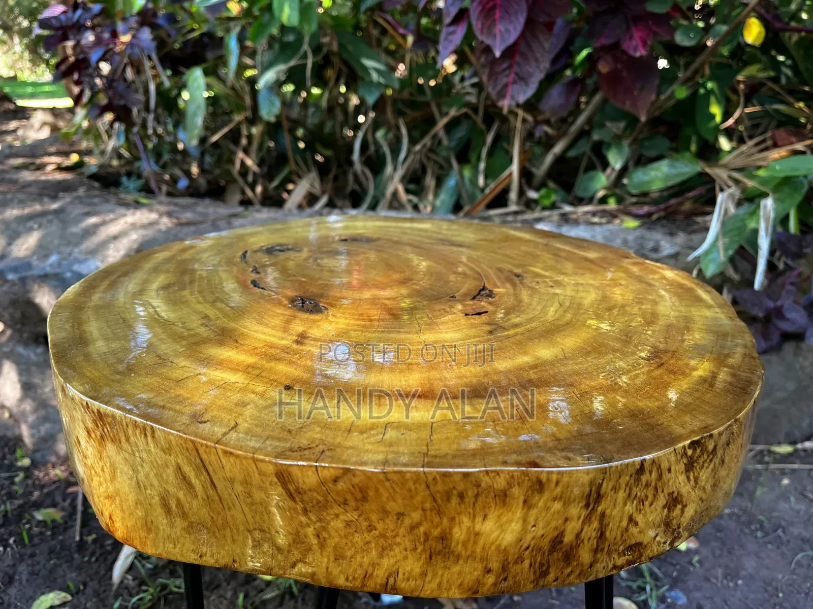 Live Edge Side Table.