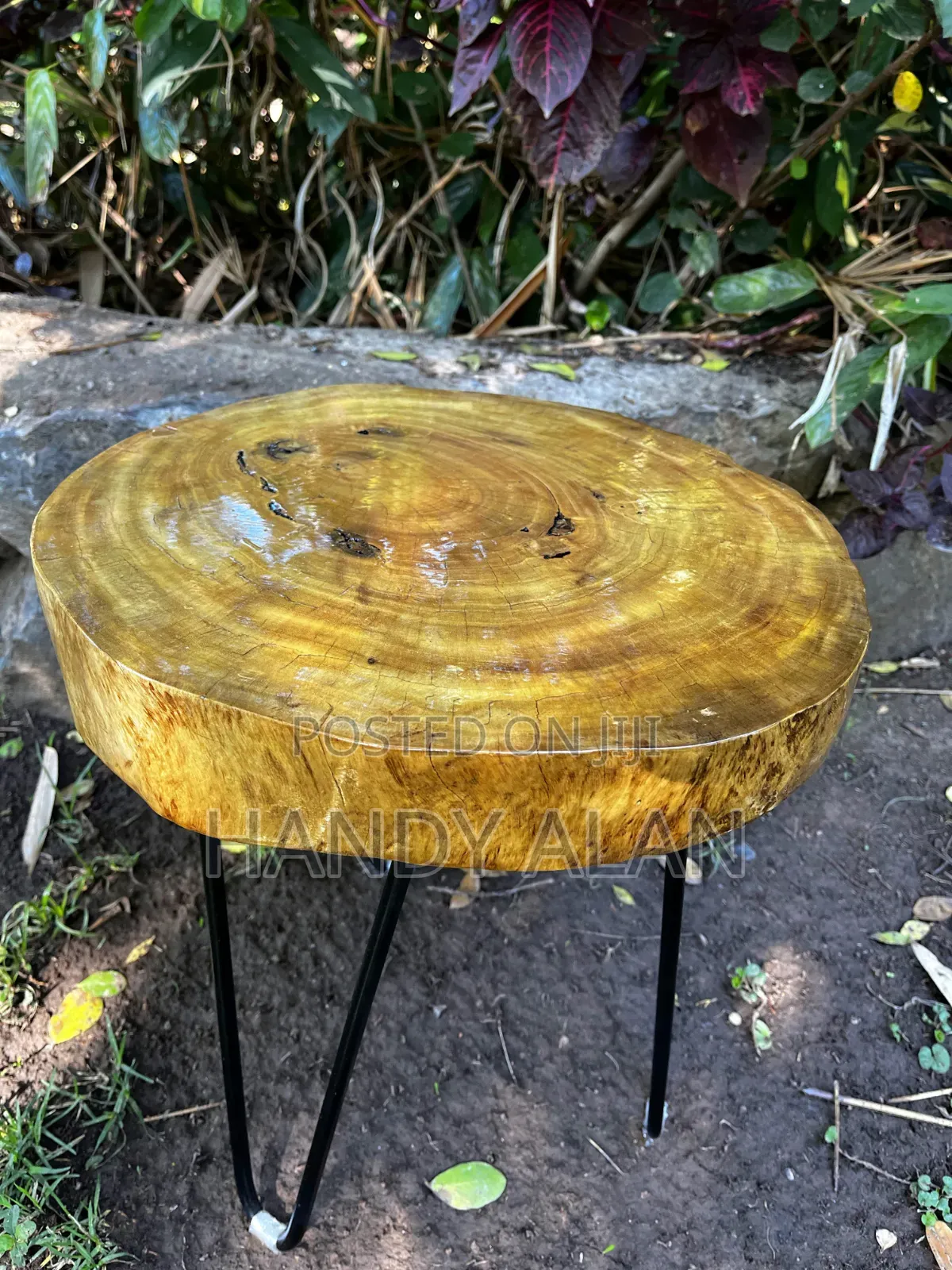 Live Edge Side Table.