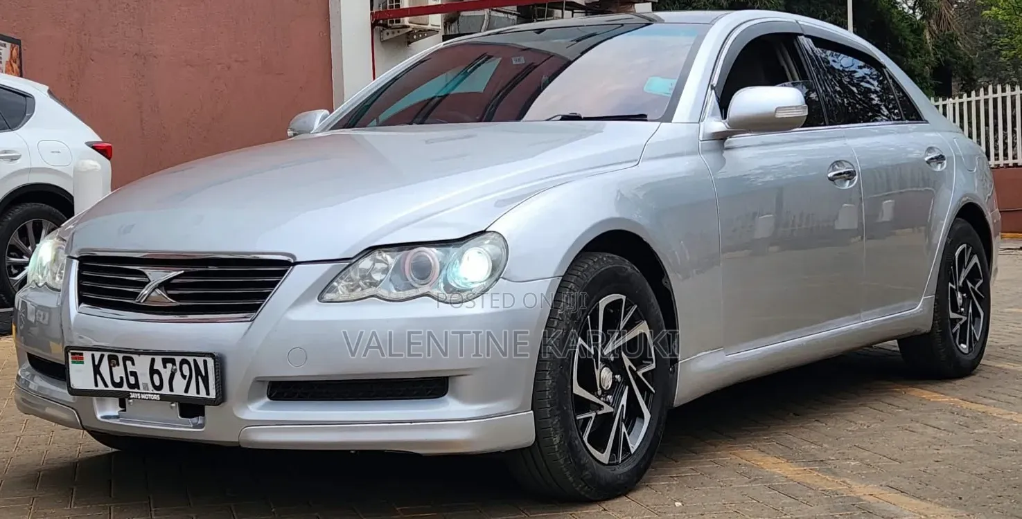 Toyota Mark X 2009 Gray