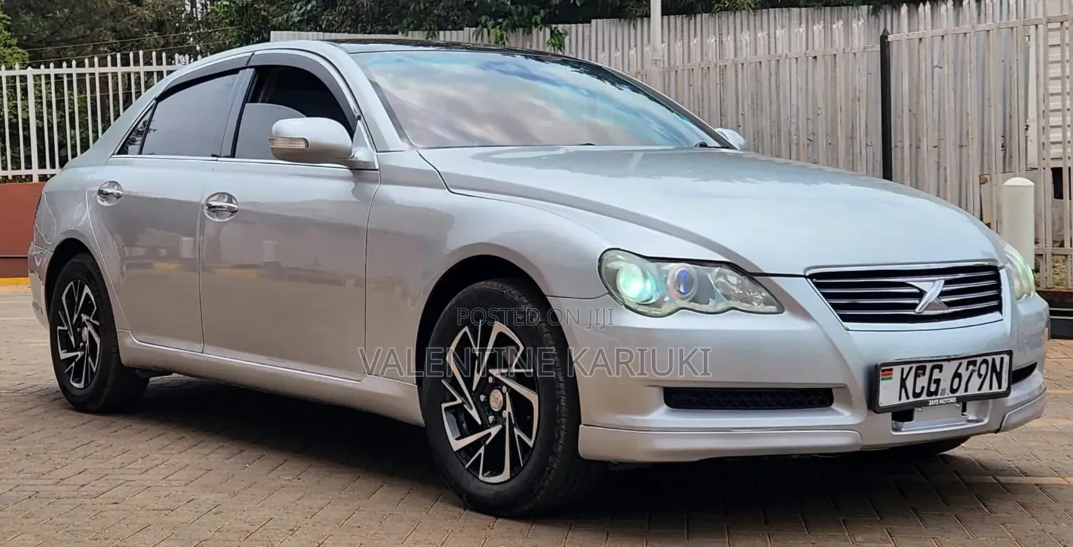 Toyota Mark X 2009 Gray