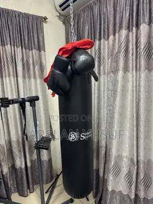 Punching Bag With Gloves