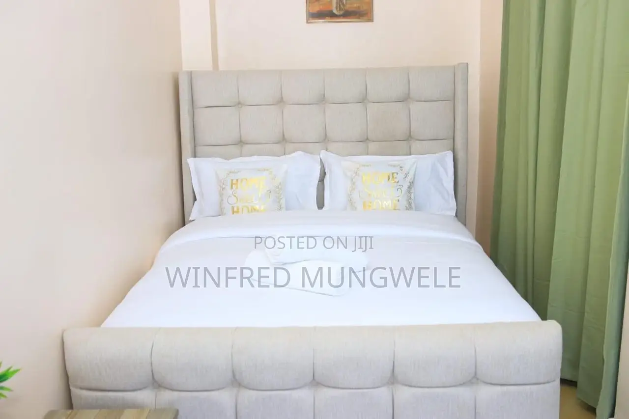 Furnished 1bdrm Bedsitter in Artesano Apartment, Syokimau for rent