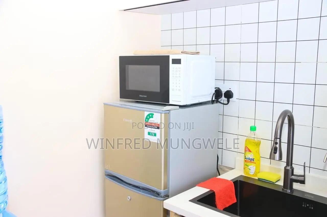 Furnished 1bdrm Bedsitter in Artesano Apartment, Syokimau for rent