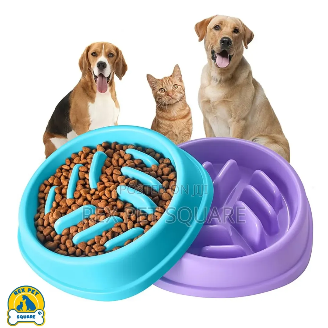 Slow Feeder Bowls