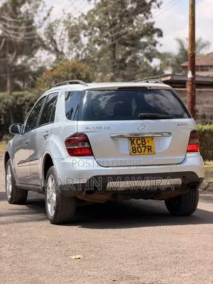 Mercedes-Benz M Class 2010 Silver