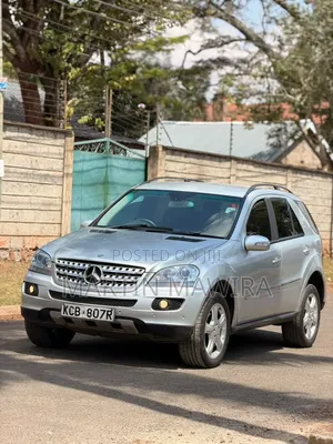 Mercedes-Benz M Class 2010 Silver