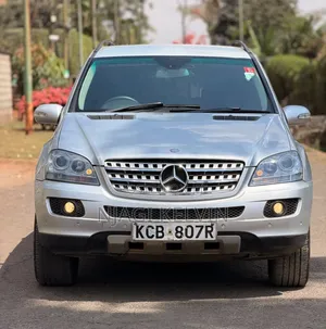 Mercedes-Benz M Class 2010 Silver