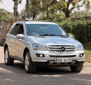 Mercedes-Benz M Class 2010 Silver