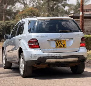 Mercedes-Benz M Class 2010 Silver