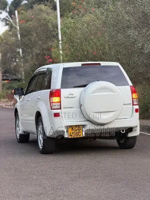 Suzuki Escudo 2010 White