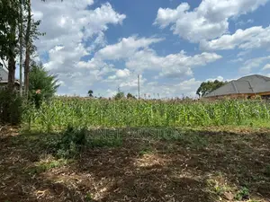 1/4 Acre Plot for Sale