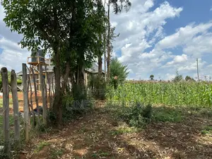 1/4 Acre Plot for Sale