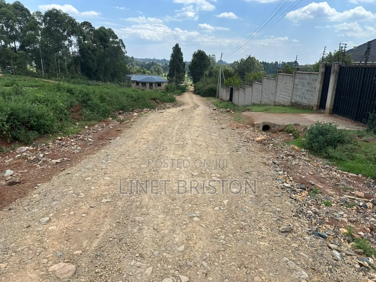 1/4 Acre Plot for Sale