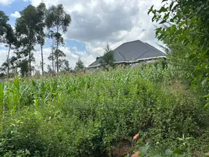 1/4 Acre Plot for Sale