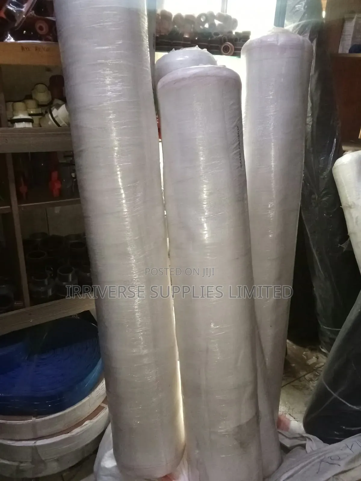 Insect Net