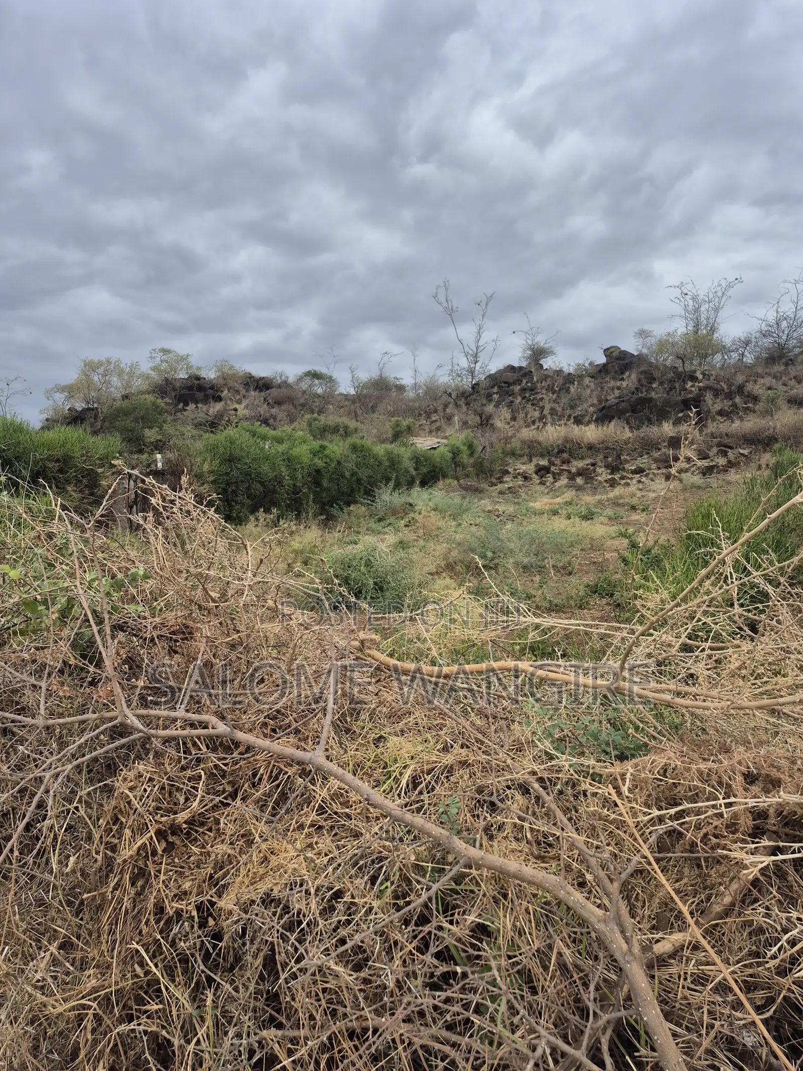 Prime 50x100 Plot Near Tarmac With Ready Title Deed Along Magadi Road