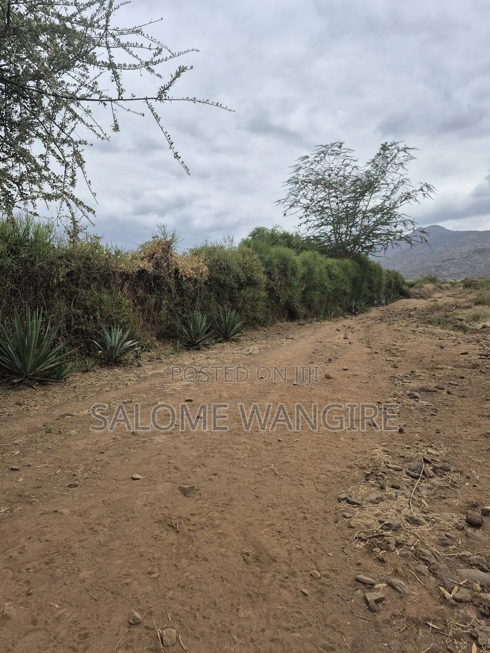 Prime 50x100 Plot Near Tarmac With Ready Title Deed Along Magadi Road