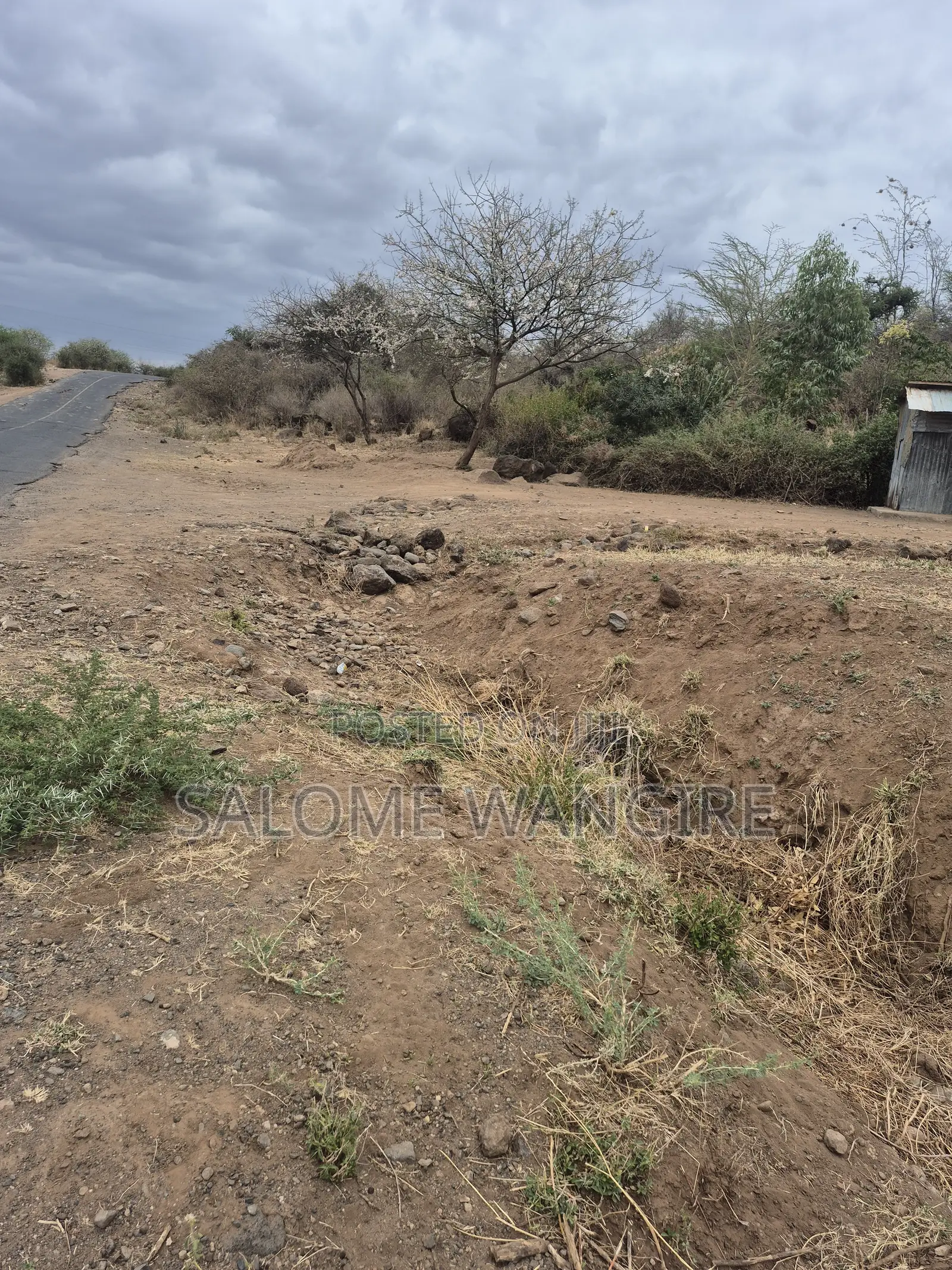 Prime 50x100 Plot Near Tarmac With Ready Title Deed Along Magadi Road