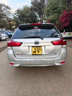 Toyota Corolla Fielder 2017 Silver