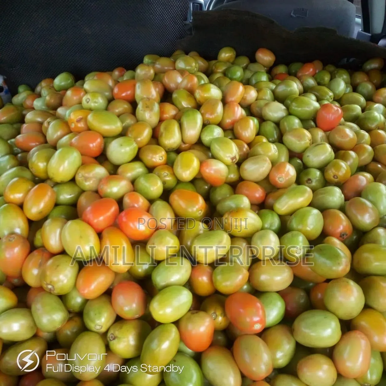 Top-Grade Tomatoes
