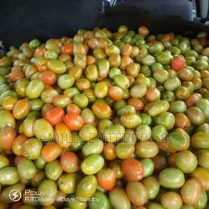 Top-Grade Tomatoes