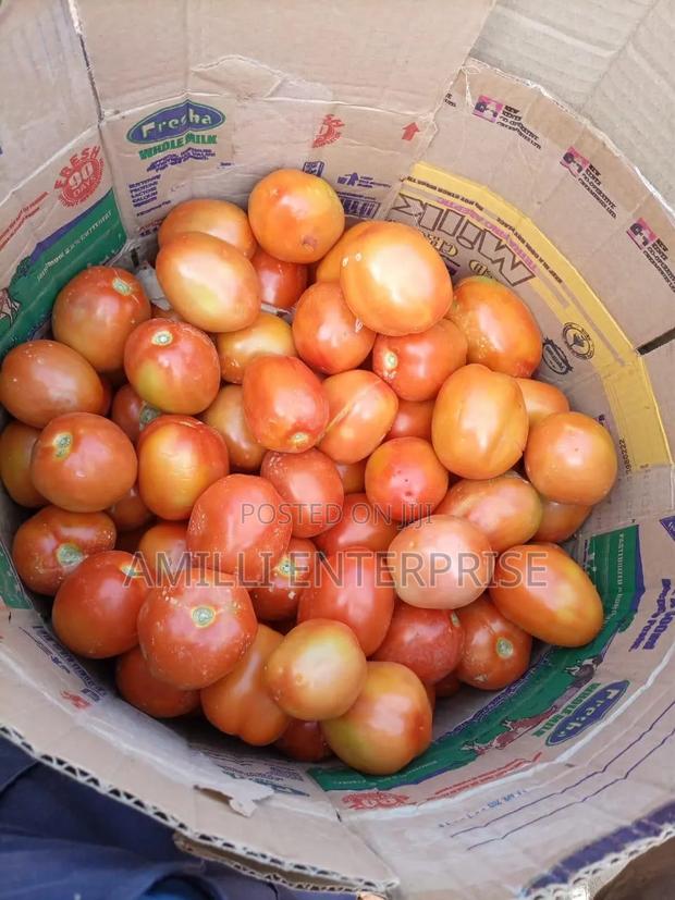 Top-Grade Tomatoes - thumbnail 3