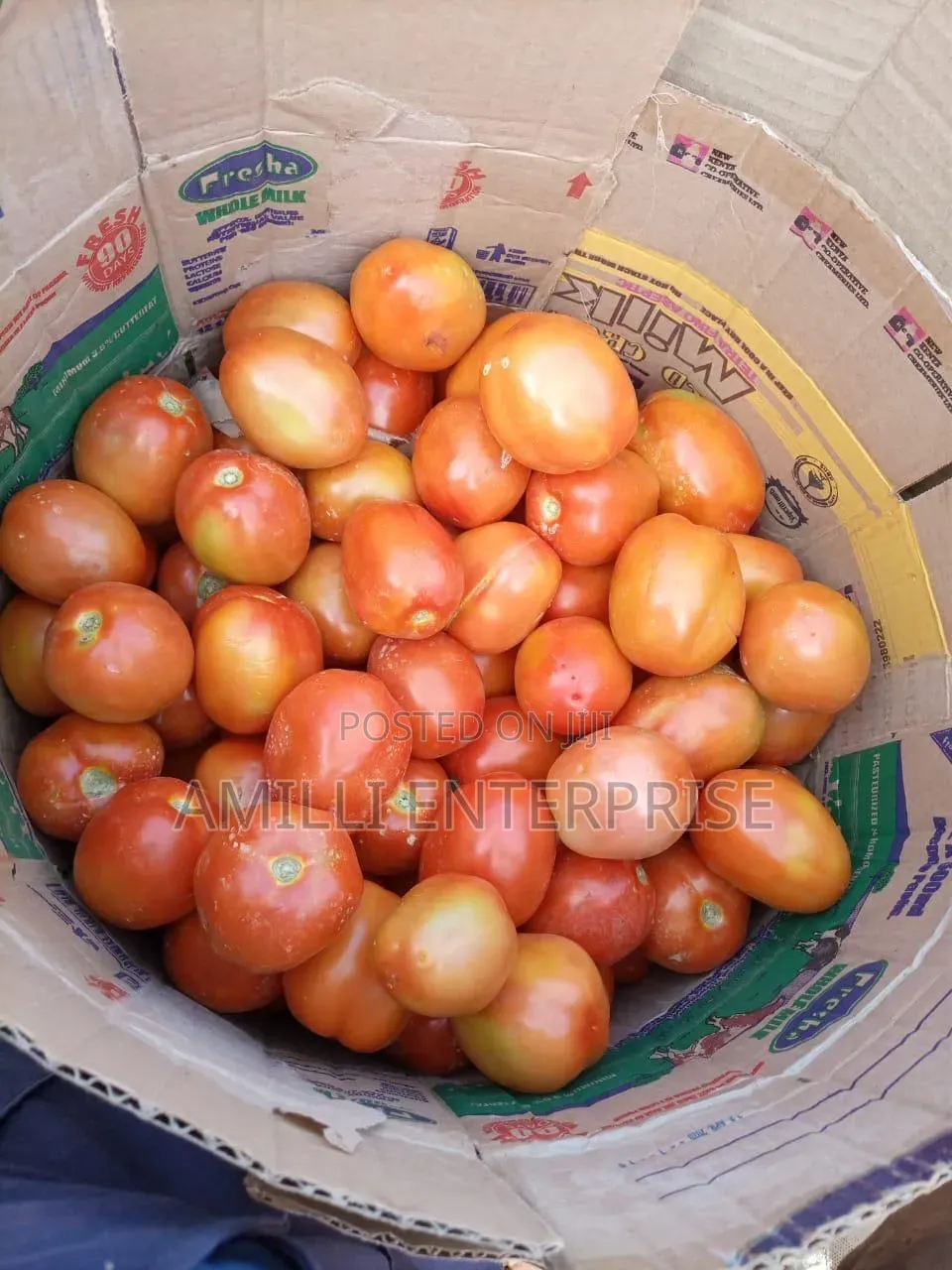 Top-Grade Tomatoes