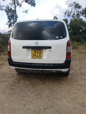 Toyota Probox 1.5 DX 2WD 2009 Pearl