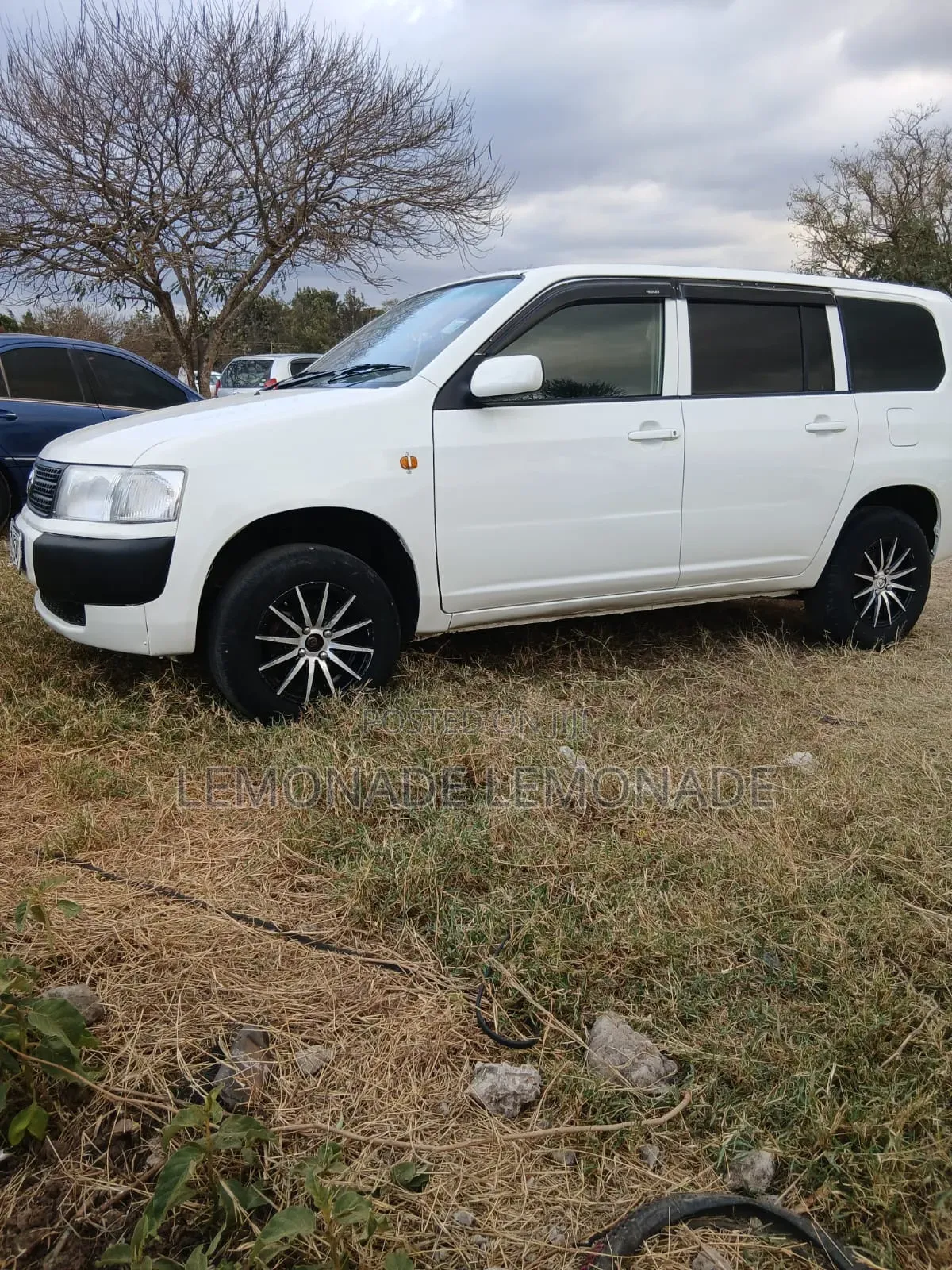 Toyota Probox 1.5 DX 2WD 2009 Pearl