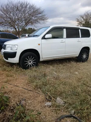 Toyota Probox 1.5 DX 2WD 2009 Pearl