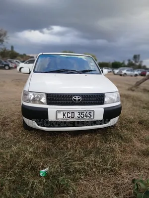 Toyota Probox 1.5 DX 2WD 2009 Pearl