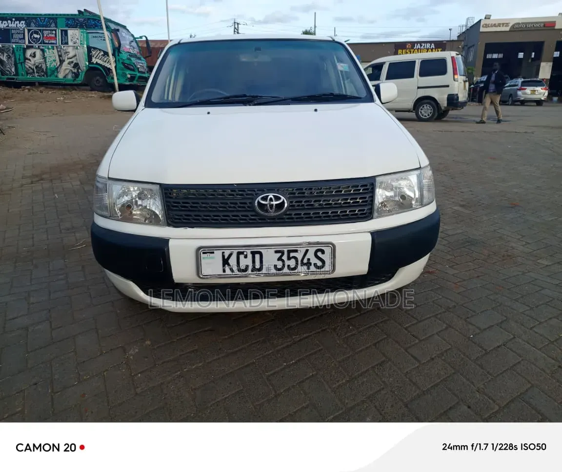 Toyota Probox 1.5 DX 2WD 2009 Pearl