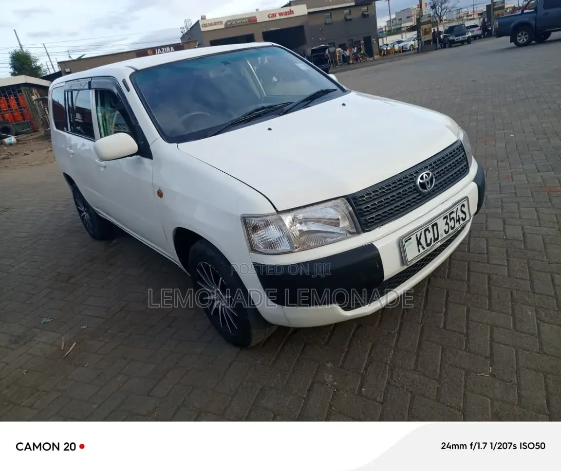 Toyota Probox 1.5 DX 2WD 2009 Pearl