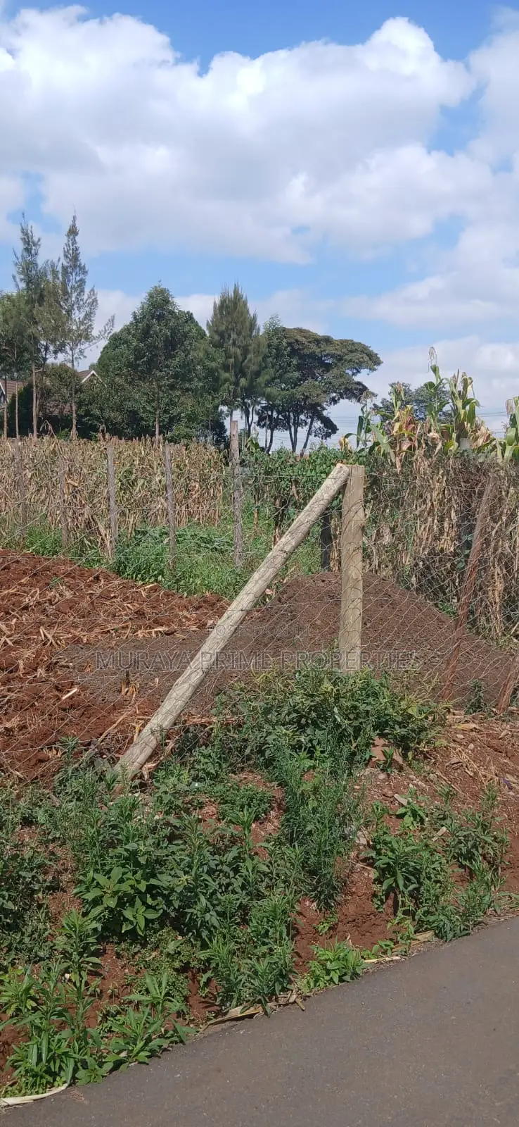 1/4-Acre Prime Plot for Sale – Kerarapon Drive